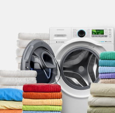 Laundry & Pest Control Service